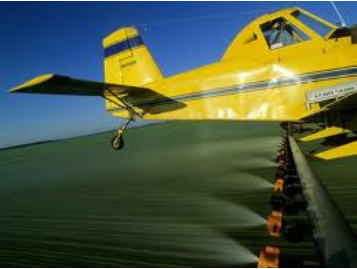 Yellow Airplane Yellow Airplane
